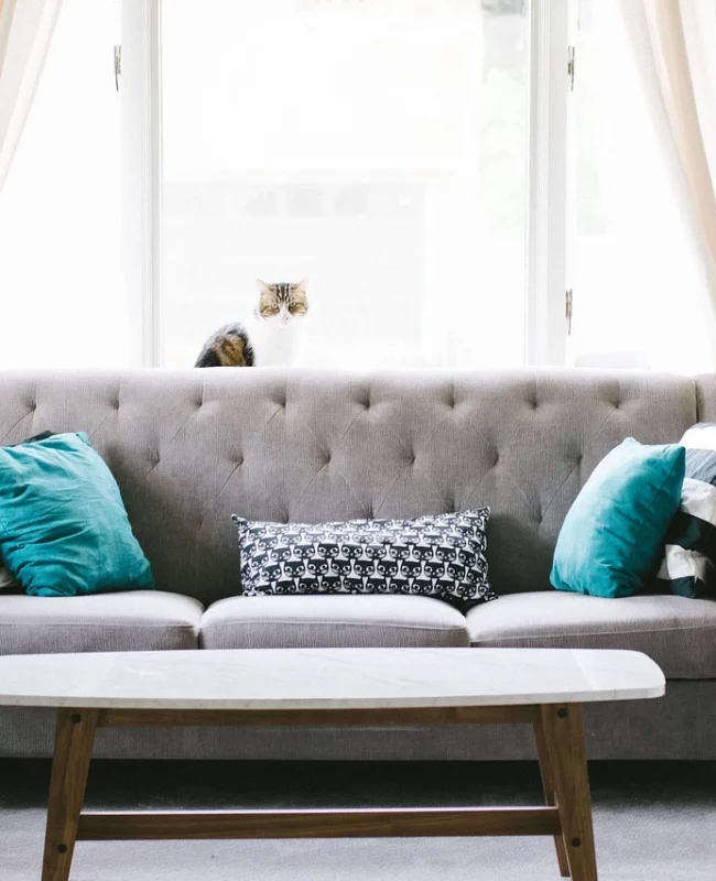 pourquoi faire appel à une décoratrice holistique
